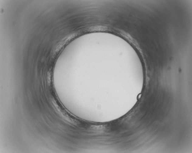 X0000052580057200507292042