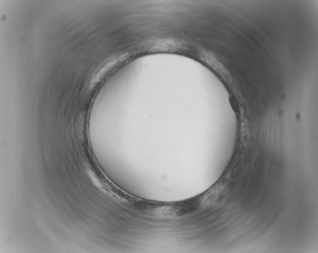 X0000052580058200507292042