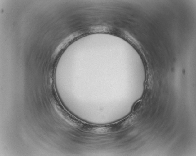 X0000052580059200507292042