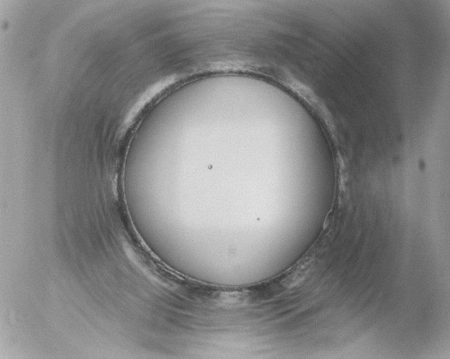 X0000052580060200507292042