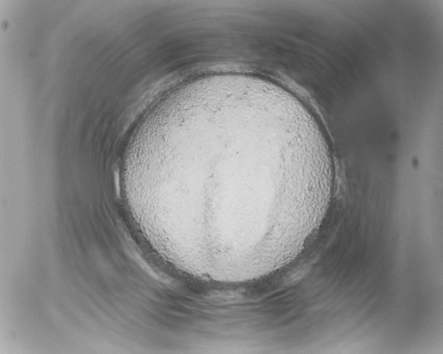 X0000052580061200507292042