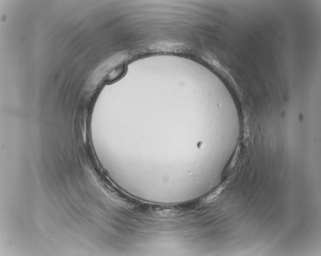 X0000052580062200507292042