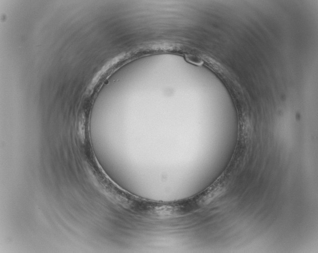 X0000052580064200507292042