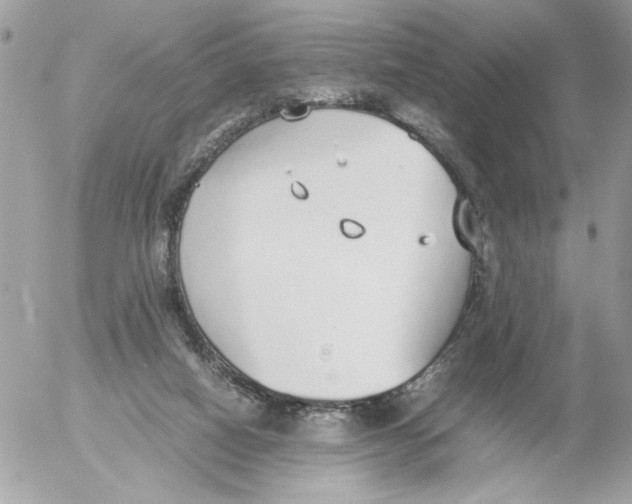 X0000052580066200507292042