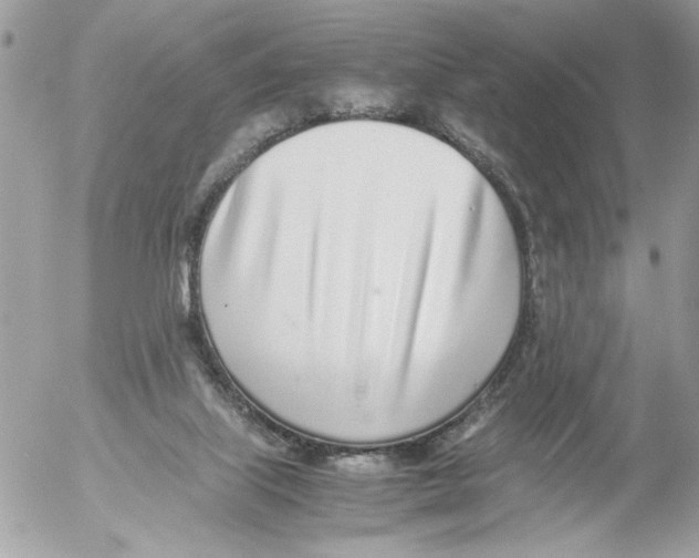 X0000052580067200507292042