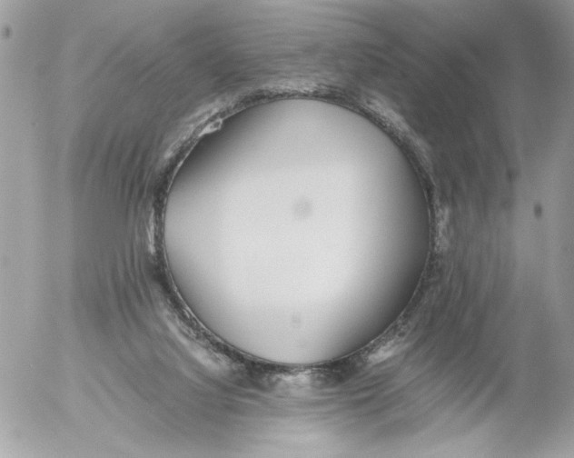 X0000052580068200507292042