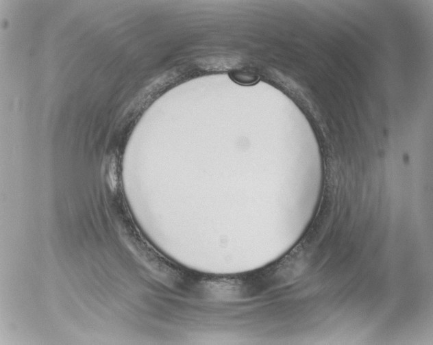 X0000052580069200507292042