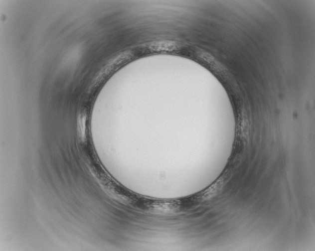 X0000052580070200507292042