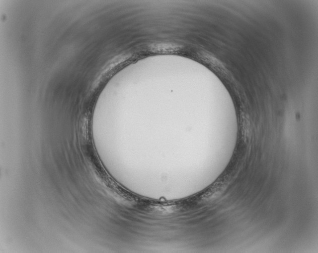 X0000052580071200507292042