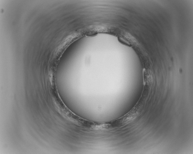 X0000052580072200507292042