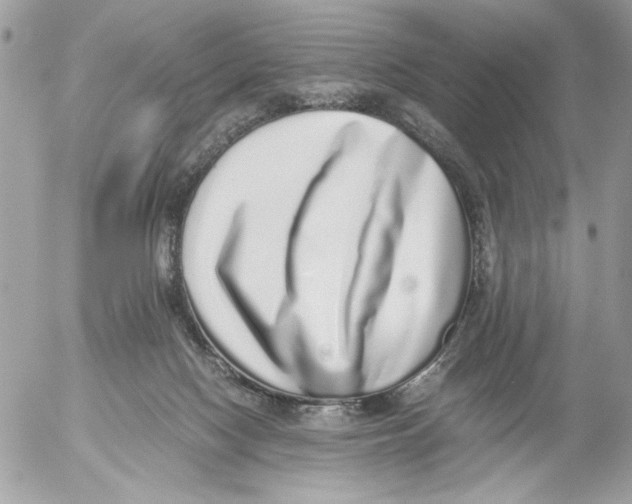 X0000052580074200507292043