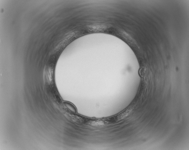 X0000052580075200507292043