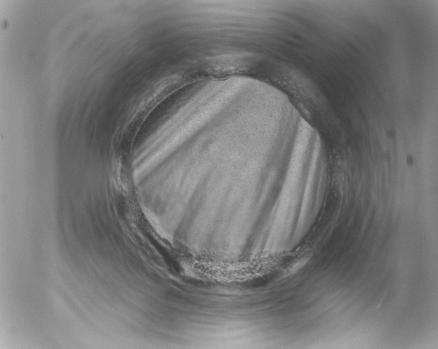 X0000052580076200507292043