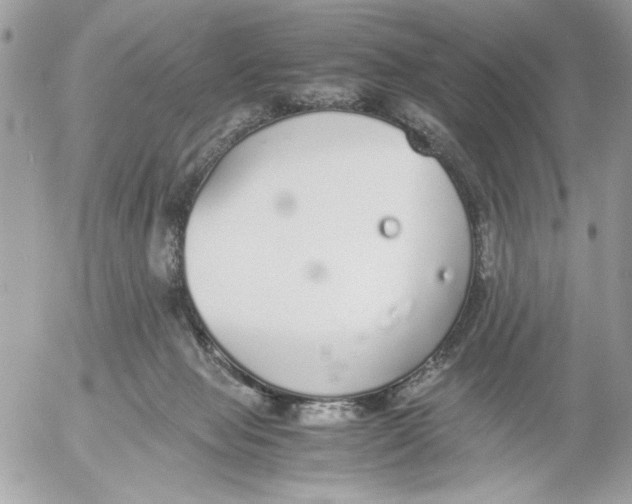 X0000052580077200507292043