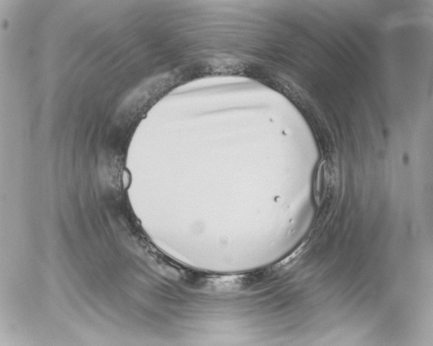 X0000052580078200507292043