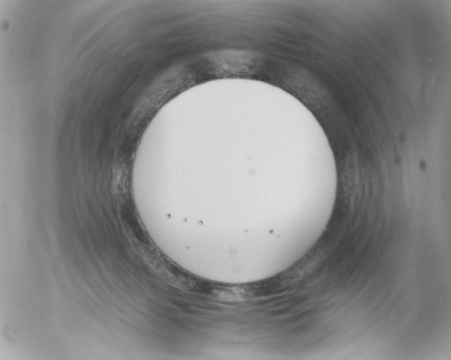 X0000052580079200507292043