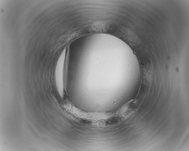 X0000052580080200507292043