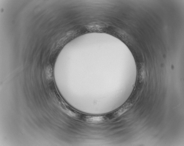 X0000052580081200507292043