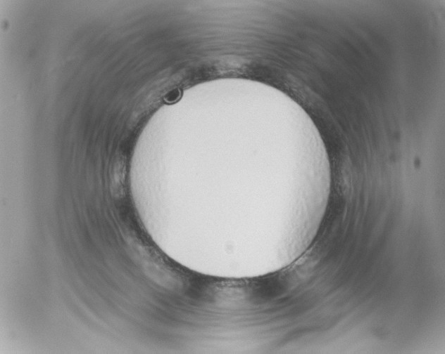 X0000052580082200507292043