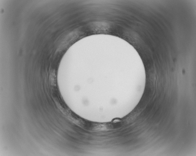 X0000052580083200507292043