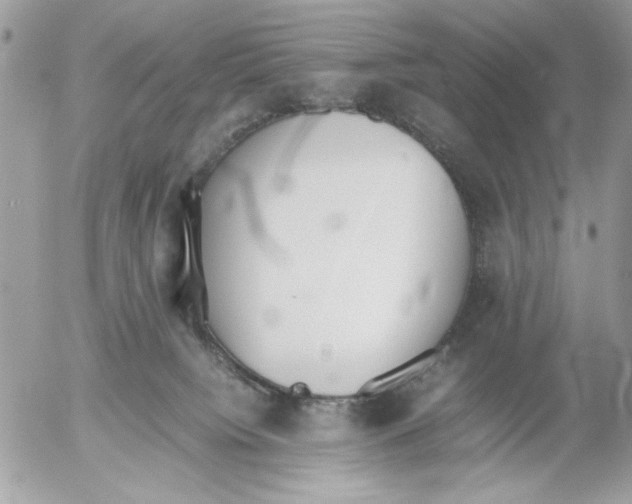 X0000052580084200507292043