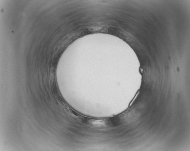 X0000052580085200507292043