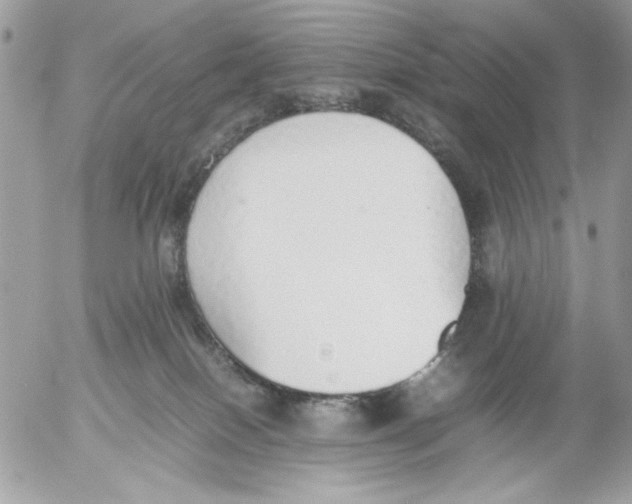 X0000052580086200507292043