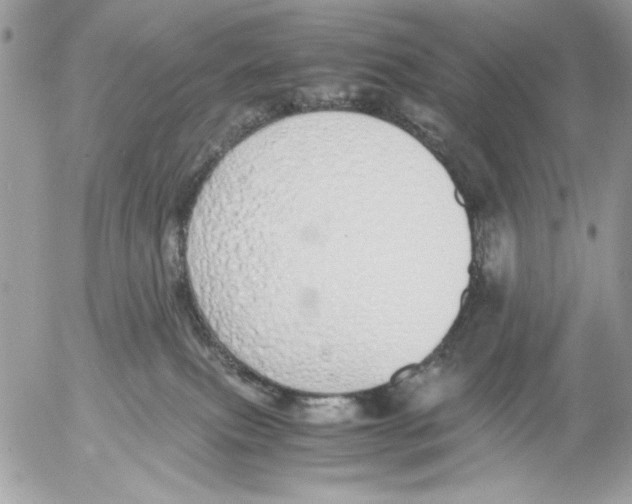 X0000052580087200507292043