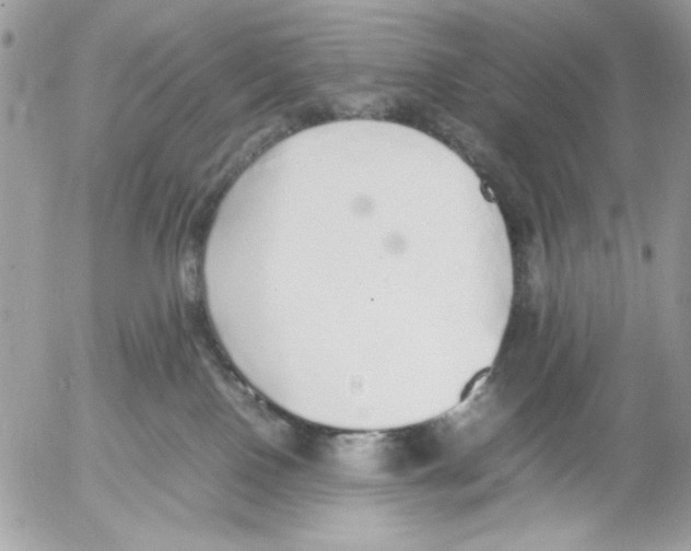 X0000052580090200507292043