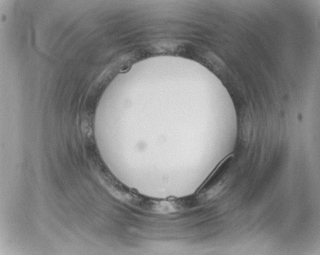 X0000052580091200507292043