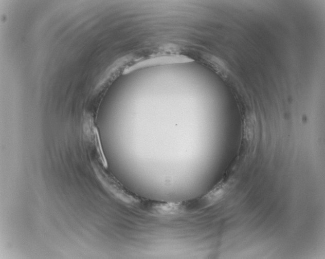 X0000052580092200507292043