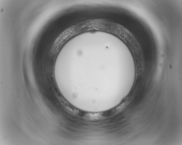 X0000052580093200507292043