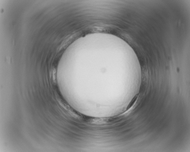 X0000052580094200507292043