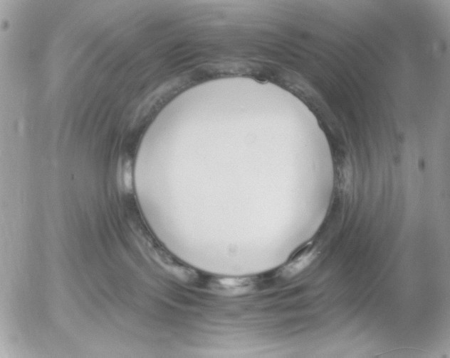 X0000052580095200507292043