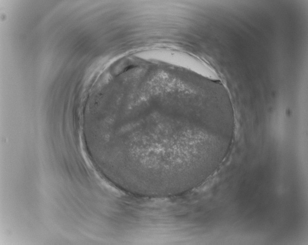 X0000052580097200507292042