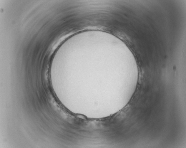 X0000052580098200507292042