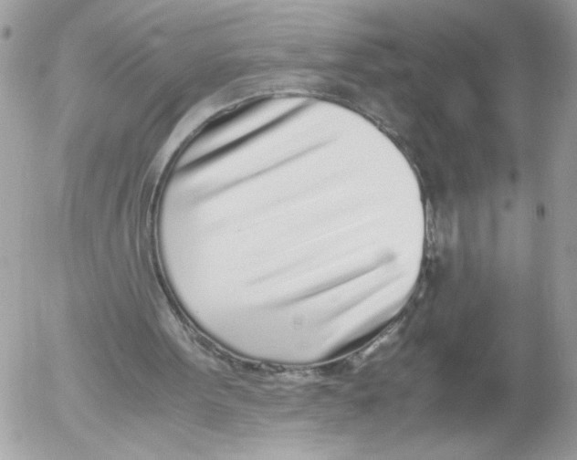 X0000052580099200507292042