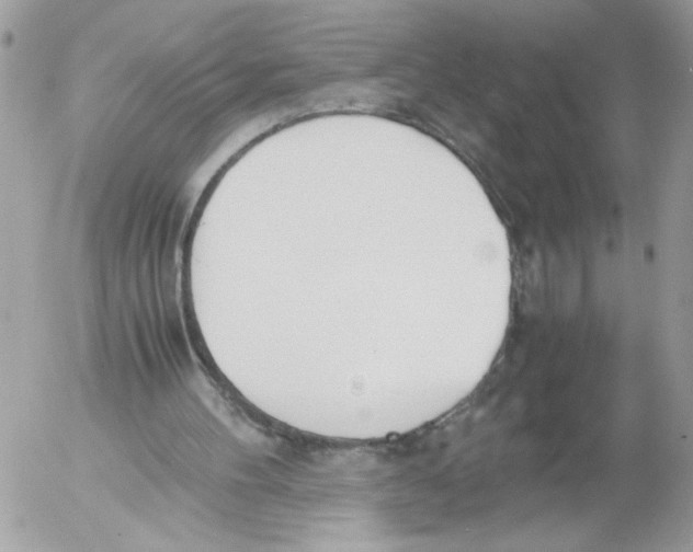 X0000052580100200507292042