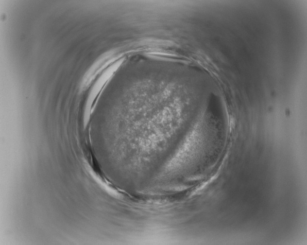 X0000052580101200507292042