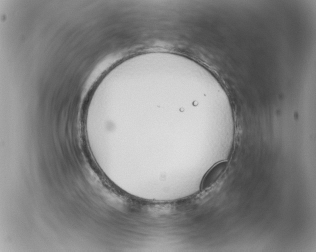 X0000052580102200507292042