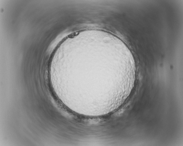 X0000052580103200507292042