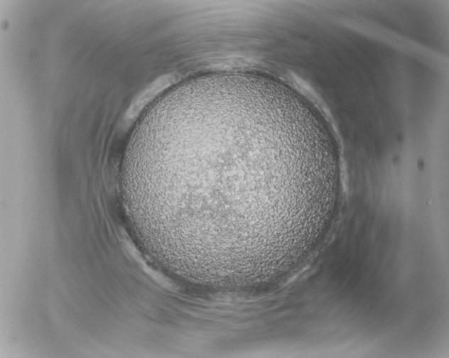 X0000052580105200507292042