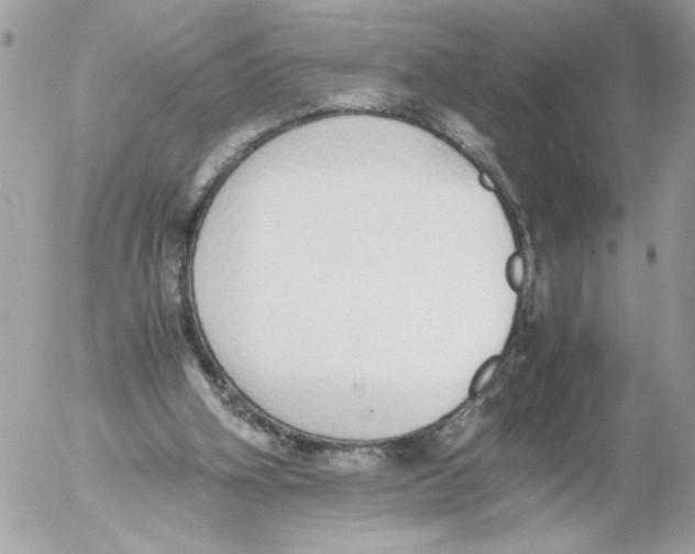 X0000052580106200507292042