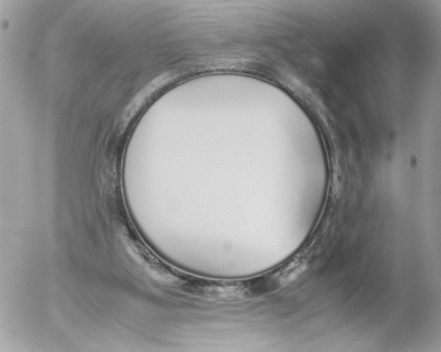 X0000052580107200507292042