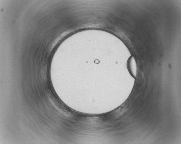 X0000052580108200507292042