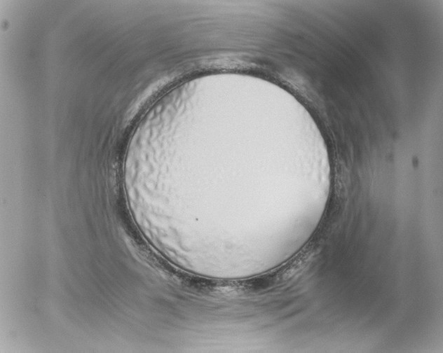 X0000052580111200507292042