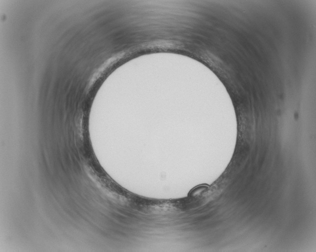 X0000052580112200507292042