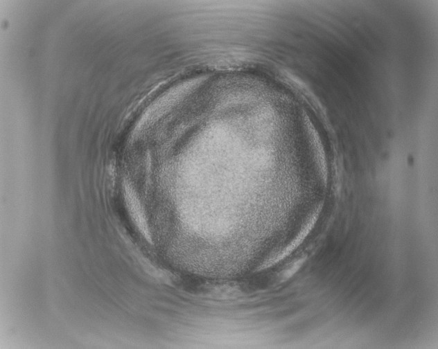 X0000052580113200507292042