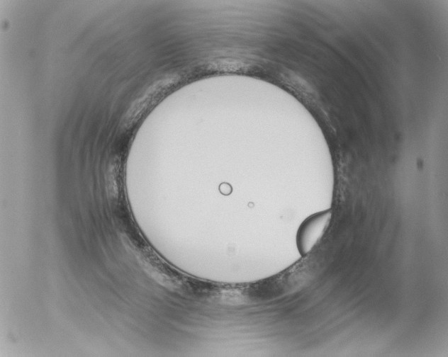 X0000052580114200507292042