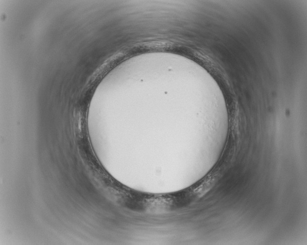 X0000052580115200507292042